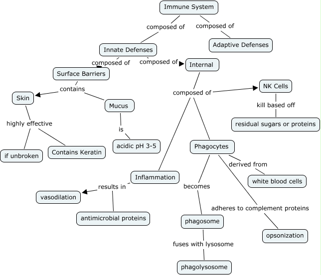 Immune System Concept Map Concept Map Immune System S vrogue.co